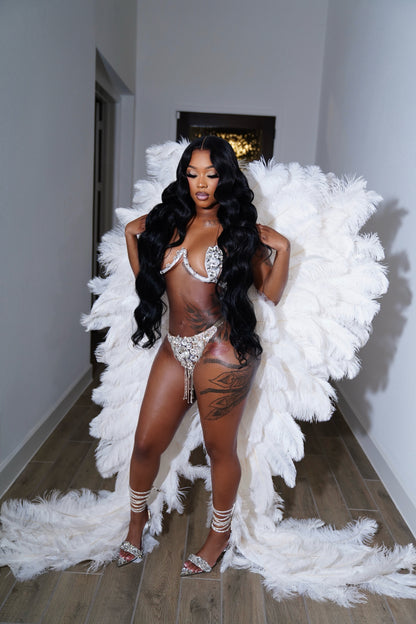 Haus Of Rich Angel Wings